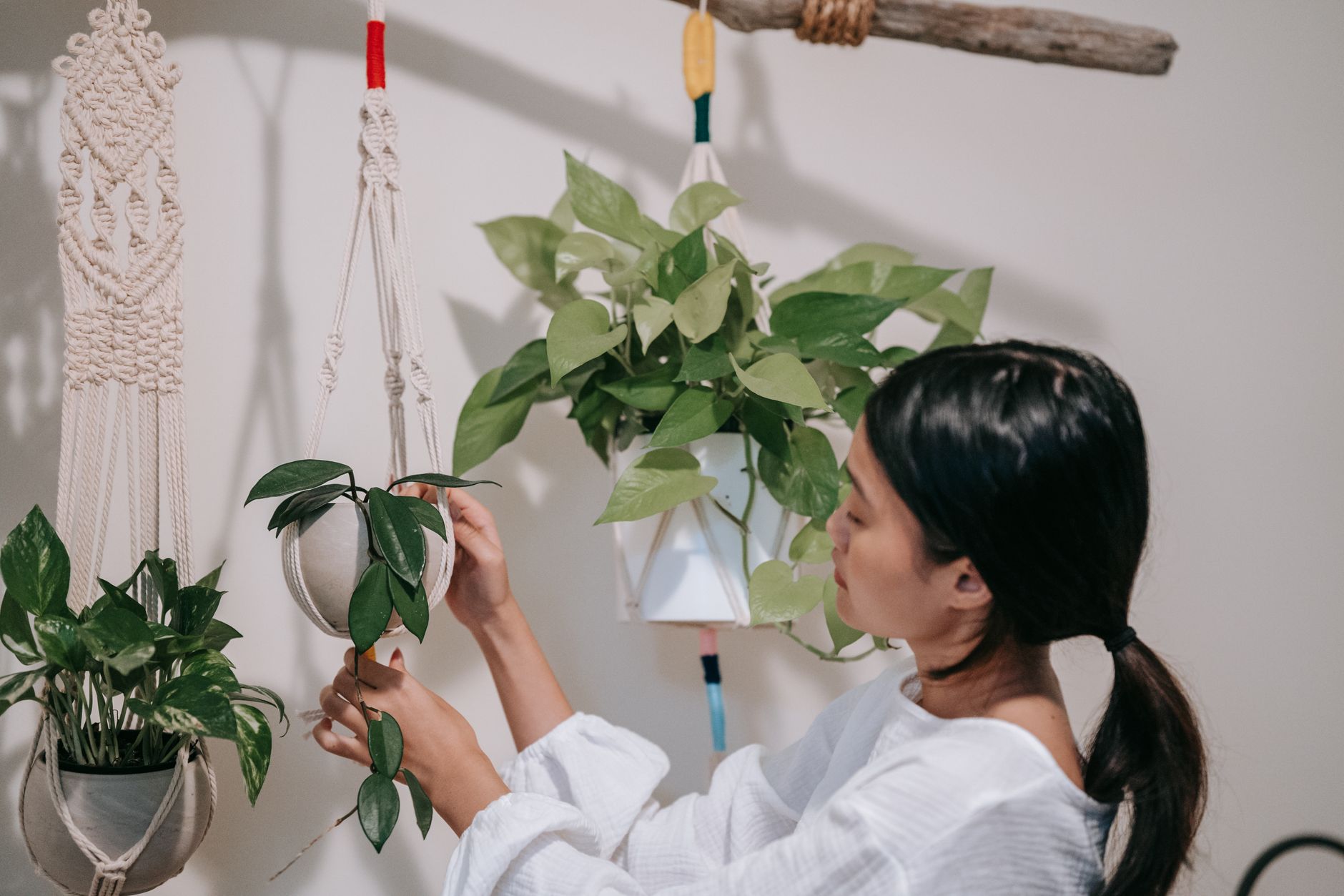 Macramé Wall Hangings with a Colourful Twist: How to Dye Cord in Fruity Shades